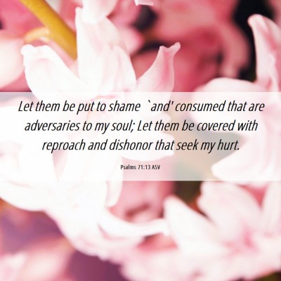 Picture 06 - Psalms 71:13 ASV - Let them be put to shame `and' consumed that are - Bible Verse Picture