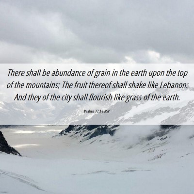 Picture 06 - Psalms 72:16 ASV - There shall be abundance of grain in the earth - Bible Verse Picture