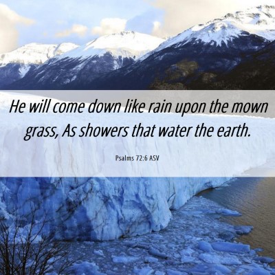 Picture 06 - Psalms 72:6 ASV - He will come down like rain upon the mown grass, - Bible Verse Picture