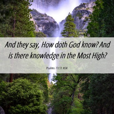 Picture 06 - Psalms 73:11 ASV - And they say, How doth God know? And is there - Bible Verse Picture