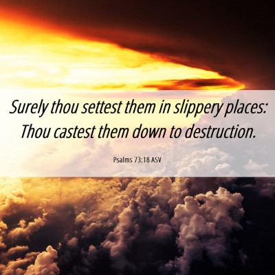 Picture 06 - Psalms 73:18 ASV - Surely thou settest them in slippery places: Thou - Bible Verse Picture