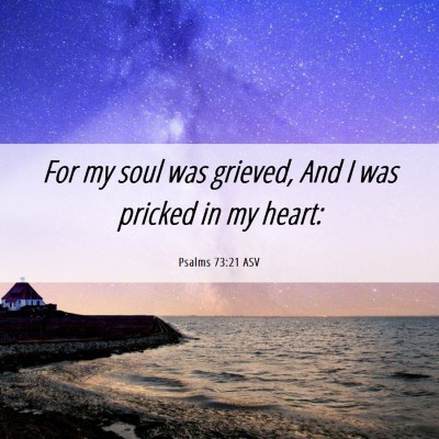 Picture 06 - Psalms 73:21 ASV - For my soul was grieved, And I was pricked in my - Bible Verse Picture