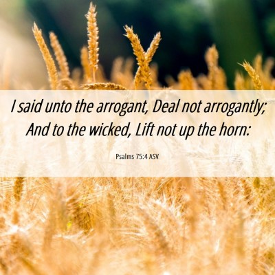 Picture 06 - Psalms 75:4 ASV - I said unto the arrogant, Deal not arrogantly; - Bible Verse Picture