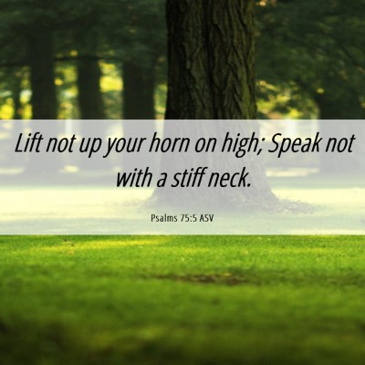Picture 06 - Psalms 75:5 ASV - Lift not up your horn on high; Speak not with a - Bible Verse Picture