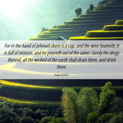Picture 06 - Psalms 75:8 ASV - For in the hand of Jehovah there is a cup, and - Bible Verse Picture