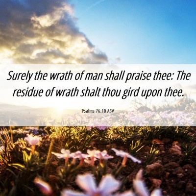 Picture 06 - Psalms 76:10 ASV - Surely the wrath of man shall praise thee: The - Bible Verse Picture