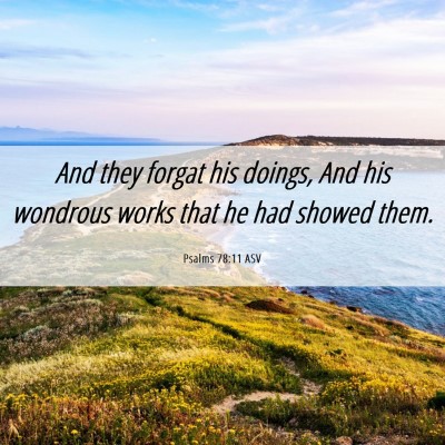 Picture 06 - Psalms 78:11 ASV - And they forgat his doings, And his wondrous - Bible Verse Picture