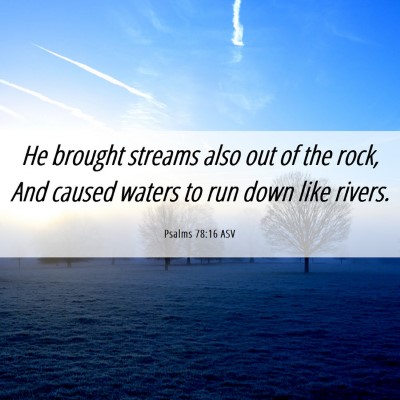 Picture 06 - Psalms 78:16 ASV - He brought streams also out of the rock, And - Bible Verse Picture