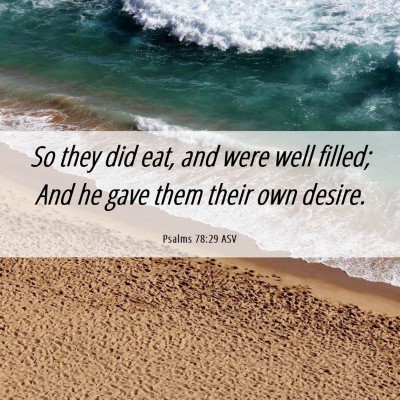 Picture 06 - Psalms 78:29 ASV - So they did eat, and were well filled; And he - Bible Verse Picture