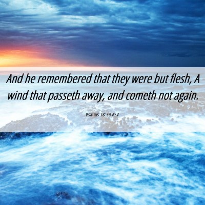 Picture 06 - Psalms 78:39 ASV - And he remembered that they were but flesh, A - Bible Verse Picture