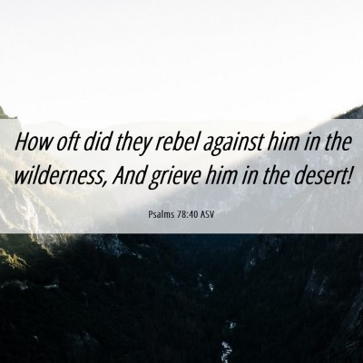 Picture 06 - Psalms 78:40 ASV - How oft did they rebel against him in the - Bible Verse Picture