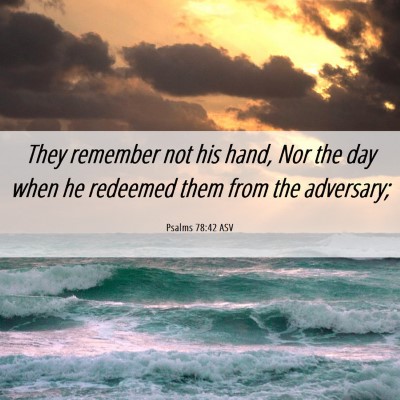 Picture 06 - Psalms 78:42 ASV - They remember not his hand, Nor the day when he - Bible Verse Picture