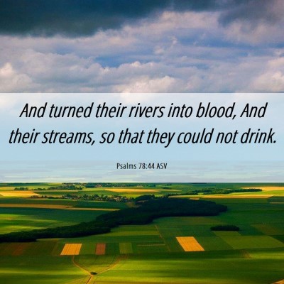 Picture 06 - Psalms 78:44 ASV - And turned their rivers into blood, And their - Bible Verse Picture