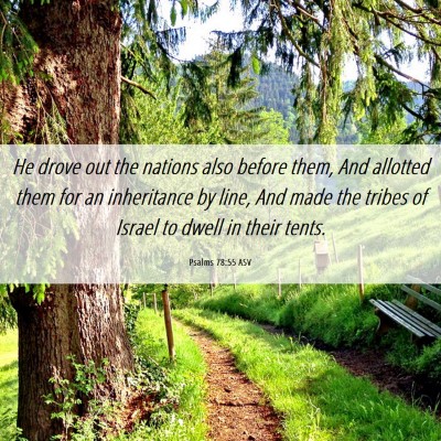 Picture 06 - Psalms 78:55 ASV - He drove out the nations also before them, And - Bible Verse Picture