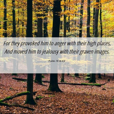Picture 06 - Psalms 78:58 ASV - For they provoked him to anger with their high - Bible Verse Picture