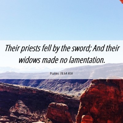 Picture 06 - Psalms 78:64 ASV - Their priests fell by the sword; And their widows - Bible Verse Picture