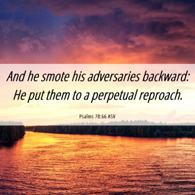 Picture 06 - Psalms 78:66 ASV - And he smote his adversaries backward: He put - Bible Verse Picture