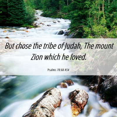 Picture 06 - Psalms 78:68 ASV - But chose the tribe of Judah, The mount Zion - Bible Verse Picture
