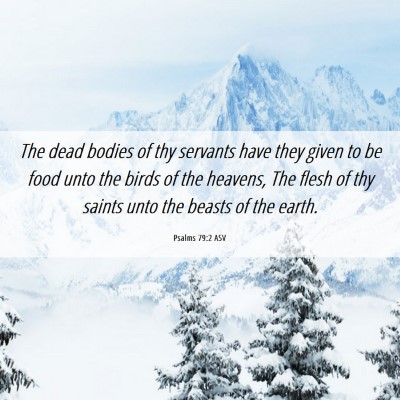 Picture 06 - Psalms 79:2 ASV - The dead bodies of thy servants have they given - Bible Verse Picture