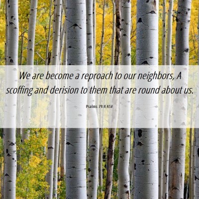 Picture 06 - Psalms 79:4 ASV - We are become a reproach to our neighbors, A - Bible Verse Picture