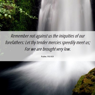 Picture 06 - Psalms 79:8 ASV - Remember not against us the iniquities of our - Bible Verse Picture