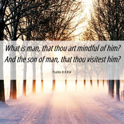 Picture 06 - Psalms 8:4 ASV - What is man, that thou art mindful of him? And - Bible Verse Picture