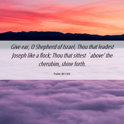 Picture 06 - Psalms 80:1 ASV - Give ear, O Shepherd of Israel, Thou that leadest - Bible Verse Picture