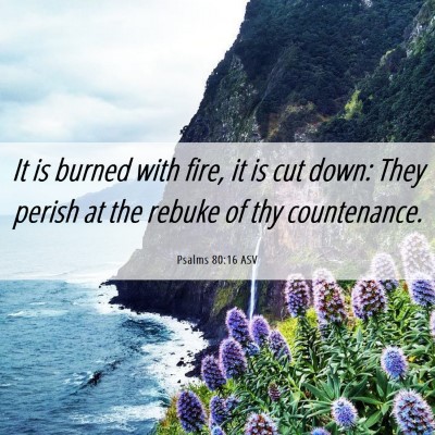 Picture 06 - Psalms 80:16 ASV - It is burned with fire, it is cut down: They - Bible Verse Picture