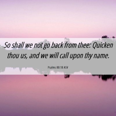 Picture 06 - Psalms 80:18 ASV - So shall we not go back from thee: Quicken thou - Bible Verse Picture