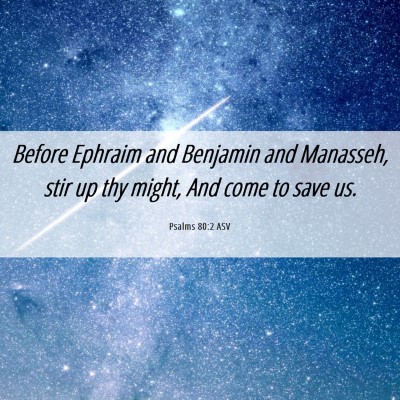 Picture 06 - Psalms 80:2 ASV - Before Ephraim and Benjamin and Manasseh, stir up - Bible Verse Picture
