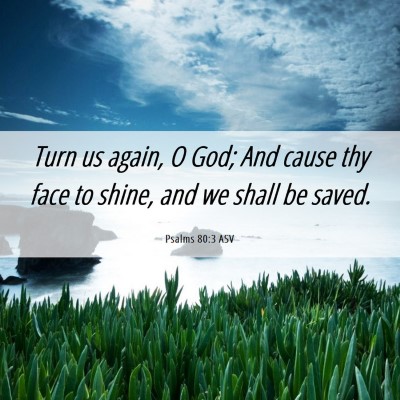 Picture 06 - Psalms 80:3 ASV - Turn us again, O God; And cause thy face to - Bible Verse Picture