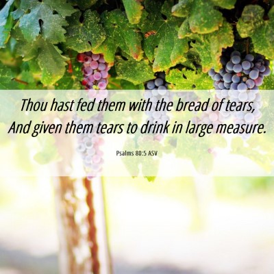 Picture 06 - Psalms 80:5 ASV - Thou hast fed them with the bread of tears, And - Bible Verse Picture
