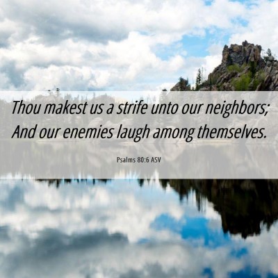 Picture 06 - Psalms 80:6 ASV - Thou makest us a strife unto our neighbors; And - Bible Verse Picture