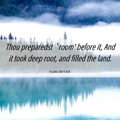Picture 06 - Psalms 80:9 ASV - Thou preparedst `room' before it, And it took - Bible Verse Picture