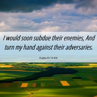 Picture 06 - Psalms 81:14 ASV - I would soon subdue their enemies, And turn my - Bible Verse Picture