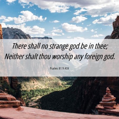 Picture 06 - Psalms 81:9 ASV - There shall no strange god be in thee; Neither - Bible Verse Picture