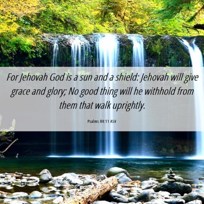 Picture 06 - Psalms 84:11 ASV - For Jehovah God is a sun and a shield: Jehovah - Bible Verse Picture