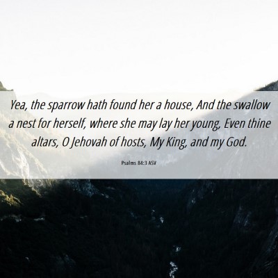 Picture 06 - Psalms 84:3 ASV - Yea, the sparrow hath found her a house, And the - Bible Verse Picture