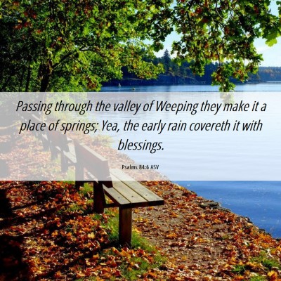 Picture 06 - Psalms 84:6 ASV - Passing through the valley of Weeping they make - Bible Verse Picture