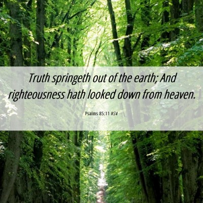 Picture 06 - Psalms 85:11 ASV - Truth springeth out of the earth; And - Bible Verse Picture