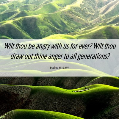 Picture 06 - Psalms 85:5 ASV - Wilt thou be angry with us for ever? Wilt thou - Bible Verse Picture