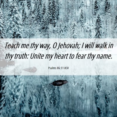 Picture 06 - Psalms 86:11 ASV - Teach me thy way, O Jehovah; I will walk in thy - Bible Verse Picture