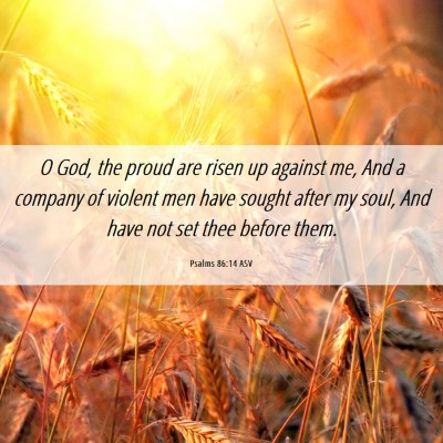 Picture 06 - Psalms 86:14 ASV - O God, the proud are risen up against me, And a - Bible Verse Picture