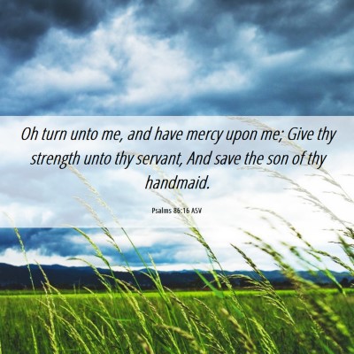 Picture 06 - Psalms 86:16 ASV - Oh turn unto me, and have mercy upon me; Give thy - Bible Verse Picture