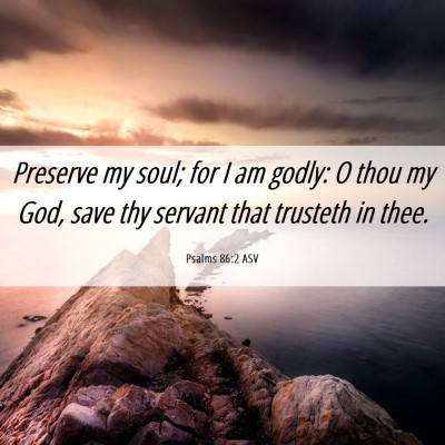 Picture 06 - Psalms 86:2 ASV - Preserve my soul; for I am godly: O thou my God, - Bible Verse Picture