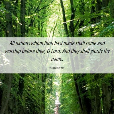 Picture 06 - Psalms 86:9 ASV - All nations whom thou hast made shall come and - Bible Verse Picture