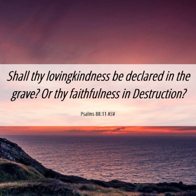 Picture 06 - Psalms 88:11 ASV - Shall thy lovingkindness be declared in the - Bible Verse Picture