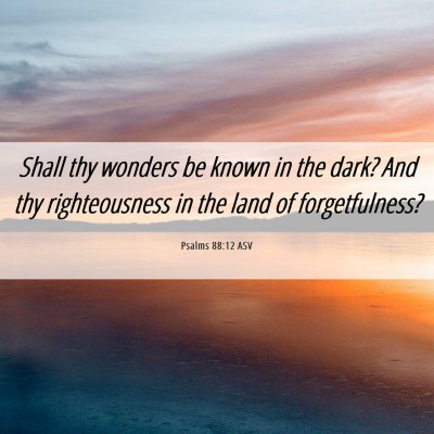 Picture 06 - Psalms 88:12 ASV - Shall thy wonders be known in the dark? And thy - Bible Verse Picture