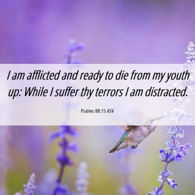 Picture 06 - Psalms 88:15 ASV - I am afflicted and ready to die from my youth up: - Bible Verse Picture