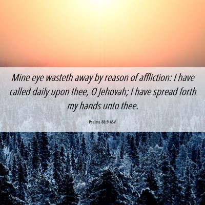 Picture 06 - Psalms 88:9 ASV - Mine eye wasteth away by reason of affliction: I - Bible Verse Picture